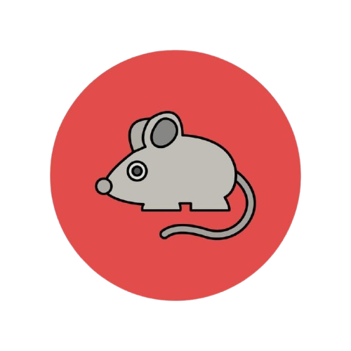 Ratatouille Language Support